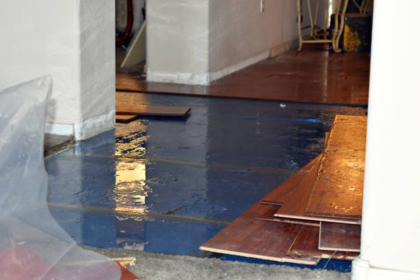Professional Storm Water Damage Restoration technician working in Hensonville, NY